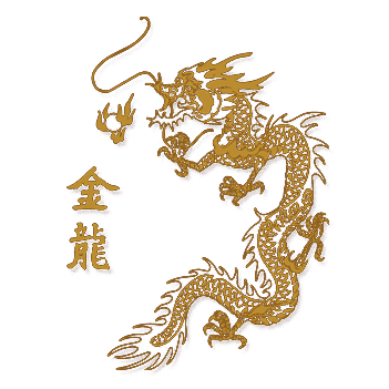 Kung Fu School Golden Dragon