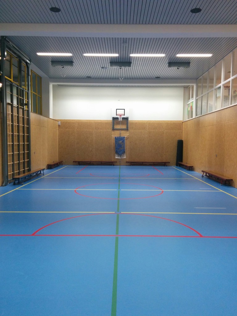 Gymzaal met Kungfu Vaandel