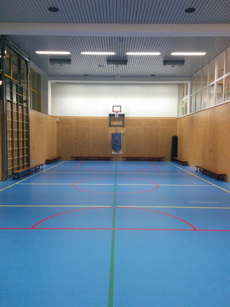 Gymzaal met Kungfu Vaandel